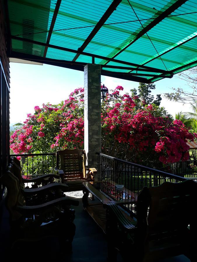 Villa Del Carmen Haven Bohol Exteriér fotografie