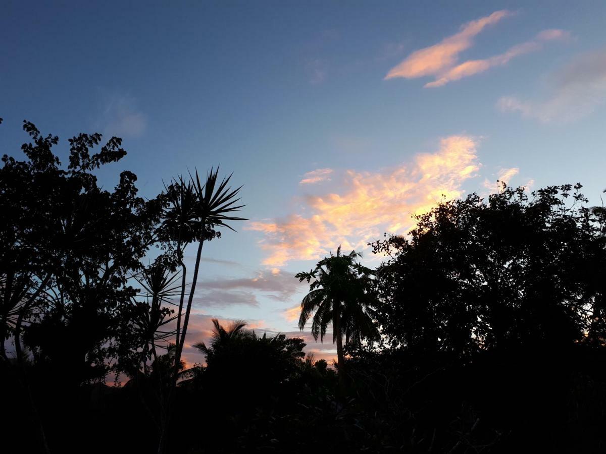 Villa Del Carmen Haven Bohol Exteriér fotografie